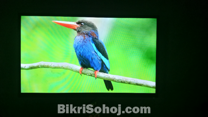 SMART LED TV